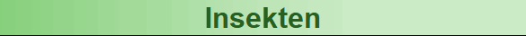 Insekten